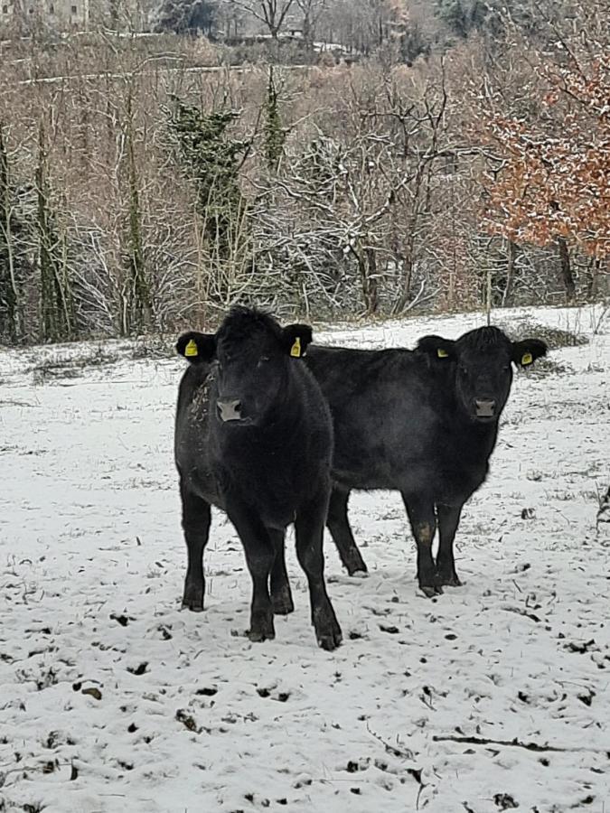 Tenuta La Scure La Cappella Villa Cortona Kültér fotó